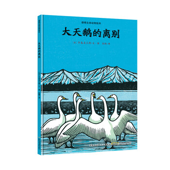 大天鵝