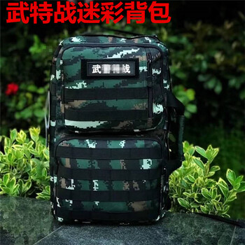 朝洋背包