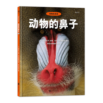 動(dòng)物的身體