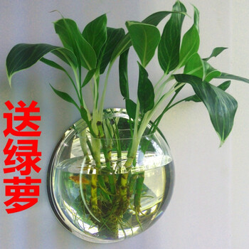 創(chuàng)意花瓶擺件，讓生活更有情調(diào)