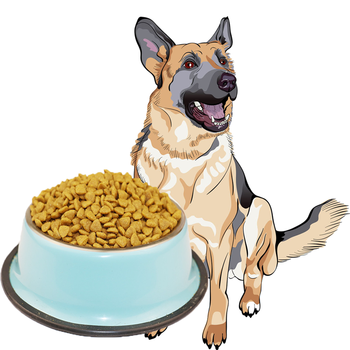 寵甲 牛肉口味全階段狗糧 主糧2.5kg(牧羊犬狗糧5斤)