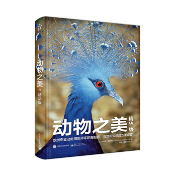 動物之美
