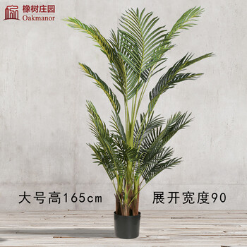 精美生態(tài)花瓶，讓你的家四季如春