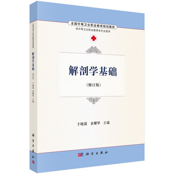 解剖學(xué)基礎(chǔ)