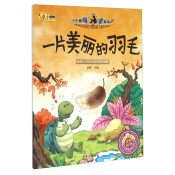 美