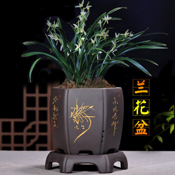 精致香薰，讓你的生活更浪漫