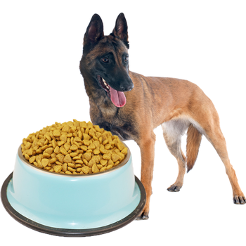 寵甲 牛肉口味全階段狗糧 主糧20kg(馬犬狗糧40斤)