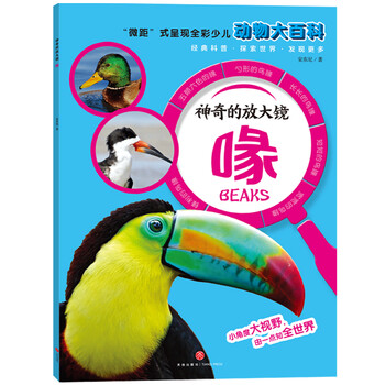 放大鏡