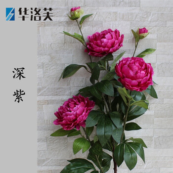 生態(tài)花瓶，打造精致之家