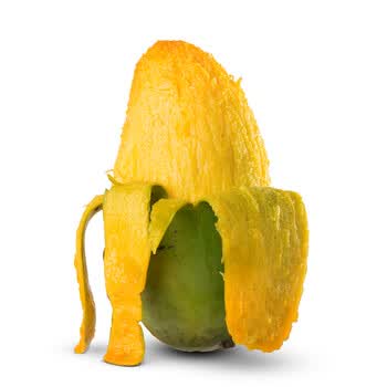 �������ʽ��â��â��