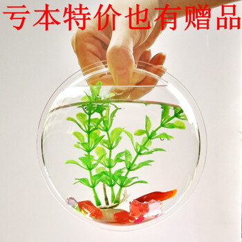 創(chuàng)意花瓶擺件，讓生活更有情調(diào)