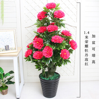 精致生態(tài)花架，打造浪漫田園風