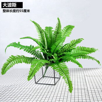 精美創(chuàng)意花瓶，讓你的家更有情調