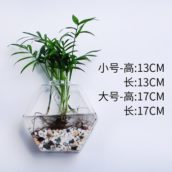 創(chuàng)意花瓶，打造溫馨家居生活