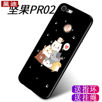巢迪 堅果Pro2 手機殼/保護套