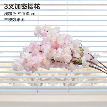 精美生態(tài)花瓶，讓你的家更浪漫