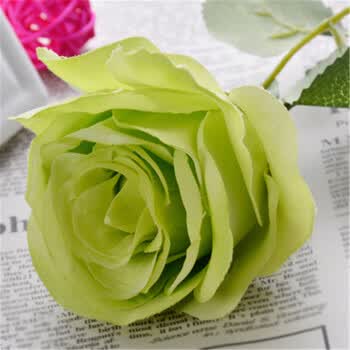 ��ŵ,��ŵ,��ƿ,����,���а�,����,����,��ƿ,�Ƽ�