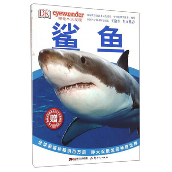 dk鯊魚