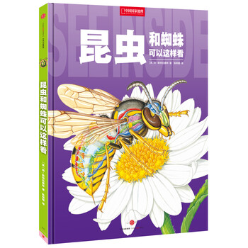 昆蟲和蜘蛛
