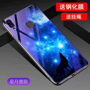 羅璐鷗 VIVO X21i 手機(jī)殼/保護(hù)套