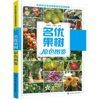 果樹