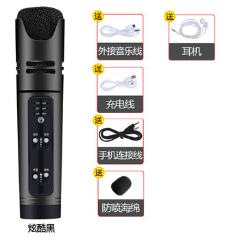麥克風(fēng)，讓你的耳朵懷孕不枯燥