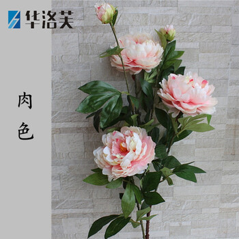 生態(tài)花瓶，打造精致之家