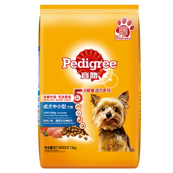 小型寵物犬