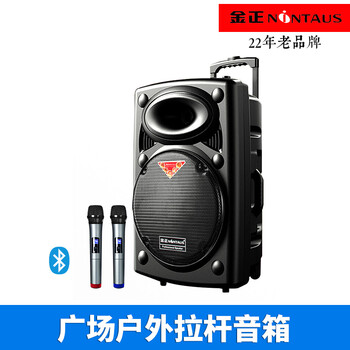 雙12寸廣場舞音箱