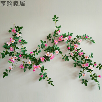 歐式風(fēng)花瓶，讓你的家煥然一新
