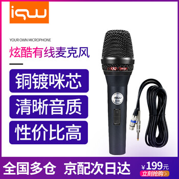專業(yè)演唱話筒