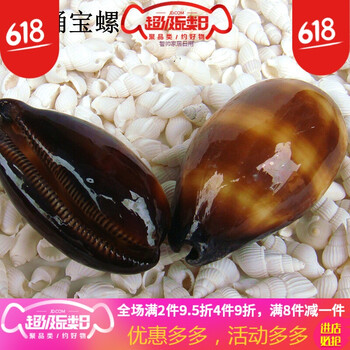 創(chuàng)意玻璃擺件，讓生活更溫馨