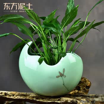 ��ô��,�в�,�в�,��ƿ,��ƿ,�ڼ�,�ڼ�