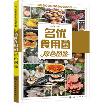 食用菌