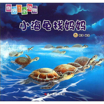 小海龜
