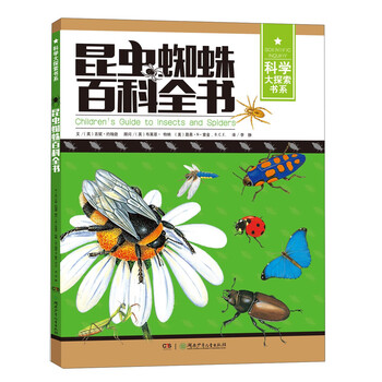 蜘蛛大