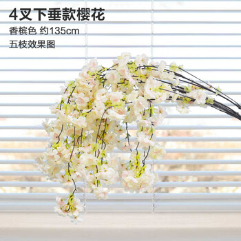 精美生態(tài)花瓶，讓你的家更浪漫