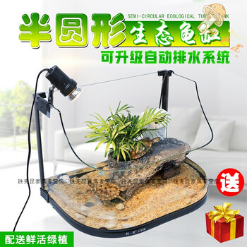 精美創(chuàng  )意家居擺件，裝點(diǎn)客廳藝術(shù)