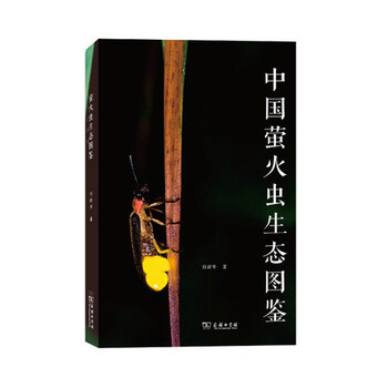 螢火蟲