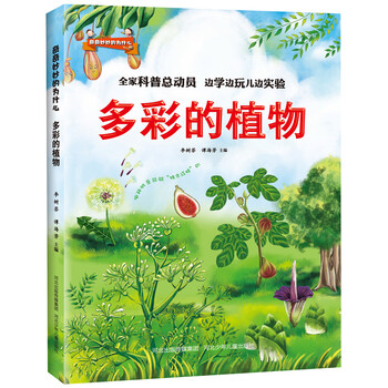 奇奇妙妙