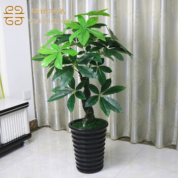 生態(tài)花瓶，打造精致之家