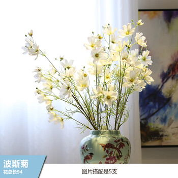 生態(tài)花瓶，打造精致之家