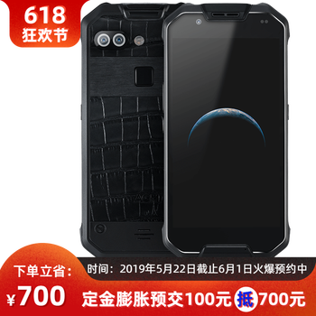 ipphone8