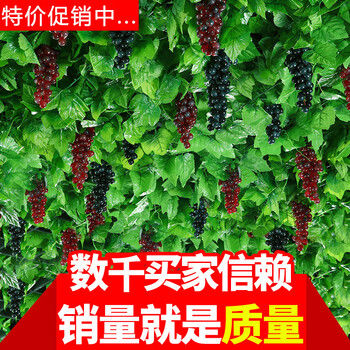 綠植室內(nèi)裝飾