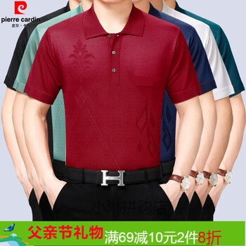 皮爾卡丹（pierrecardin） 短袖 男士T恤 紫紅1608 