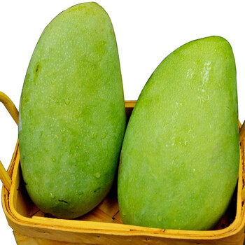 Ϲų̃â