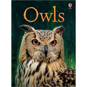 usborne英文原版