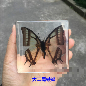 簡約擺件，裝點溫馨生活