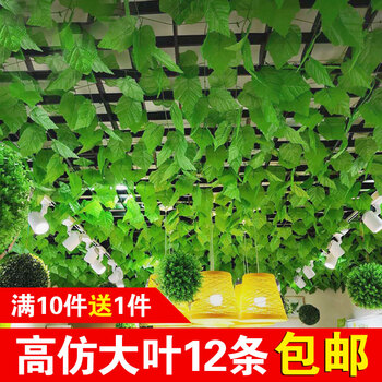 仿真,仿真,怎么樣,室內(nèi),室內(nèi),水果,水果