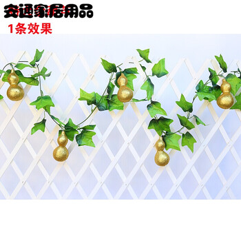 歐式創(chuàng)意花瓶，讓生活不再單調(diào)！